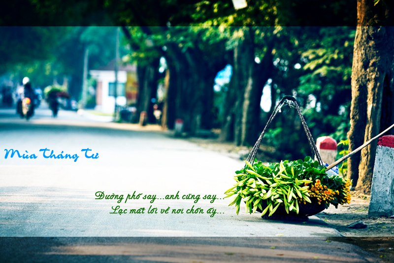 Mùa tháng tư…